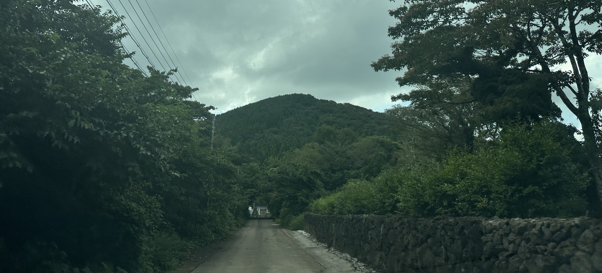 바농오름 전경