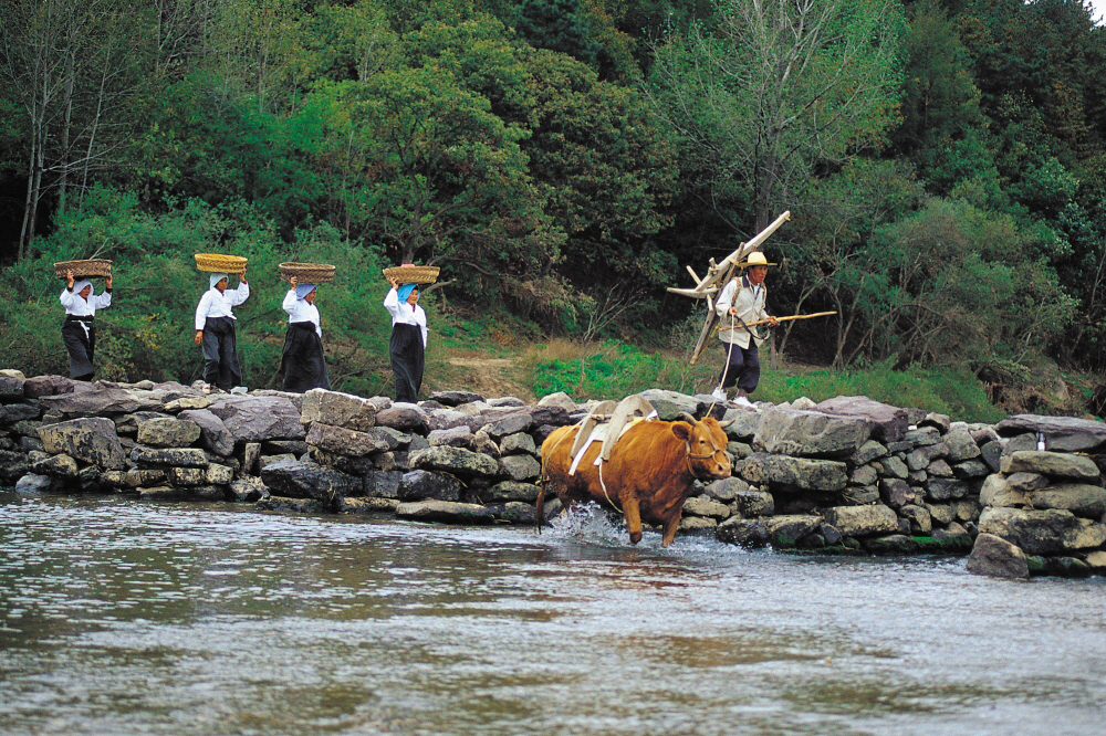 생거진천 농다리축제