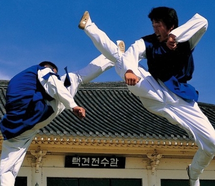 택견의 기원과 역사