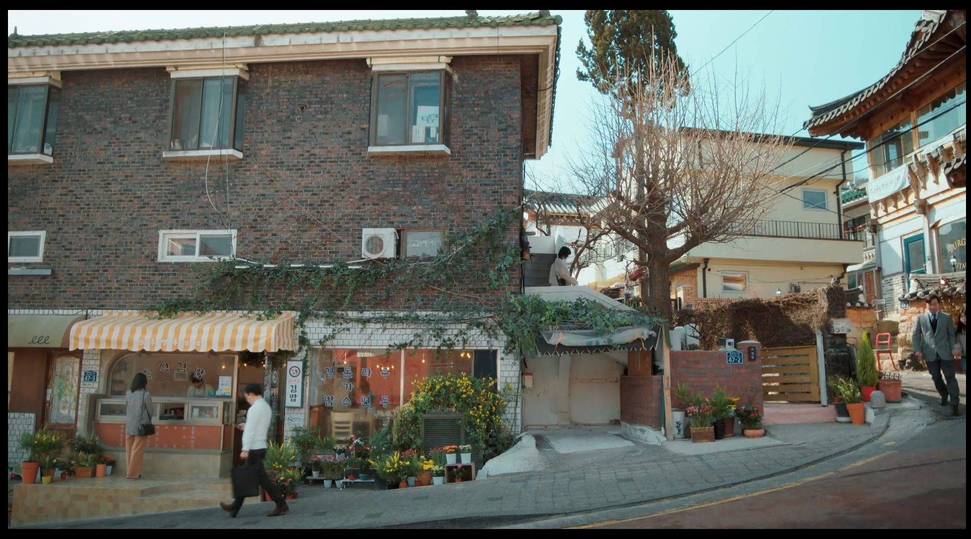 이상한 변호사 우영우 드라마 촬영지 (팽나무, 웨딩, 낙조, 제주도) 제주 돌고래 출몰지역 스팟