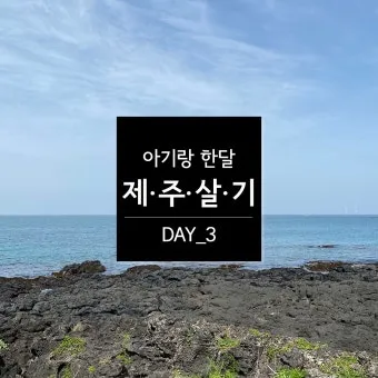 제주도 한 달 살기 아기와 함께하는 특별한 여행 준비 팁_6