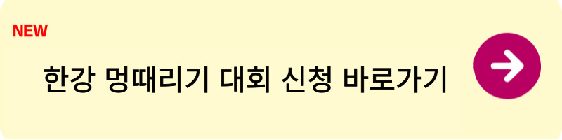 한강 멍때리기 대회 신청방법1