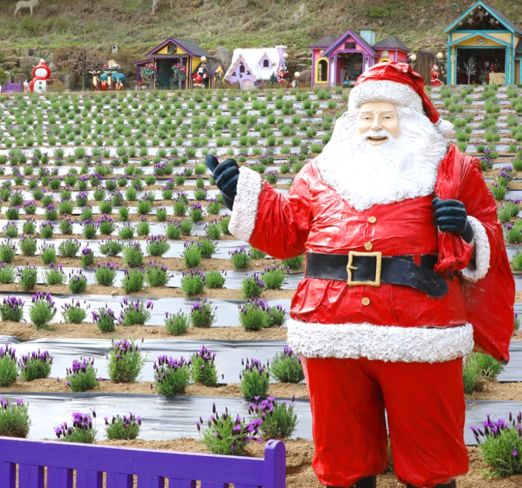허브아일랜드 산타존
