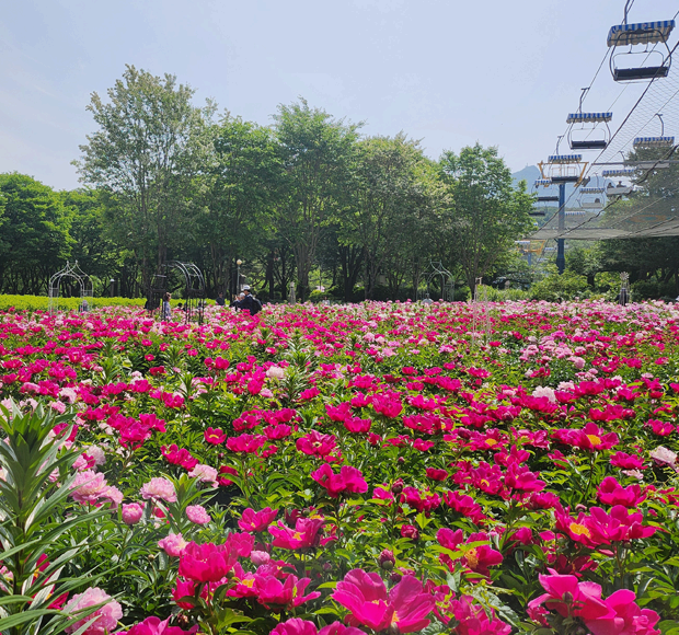 서울대공원 테마가든