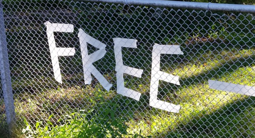 무료 게임과 관련된 사진