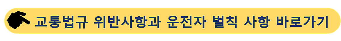 교통법규 위반사항-운전자 벌칙