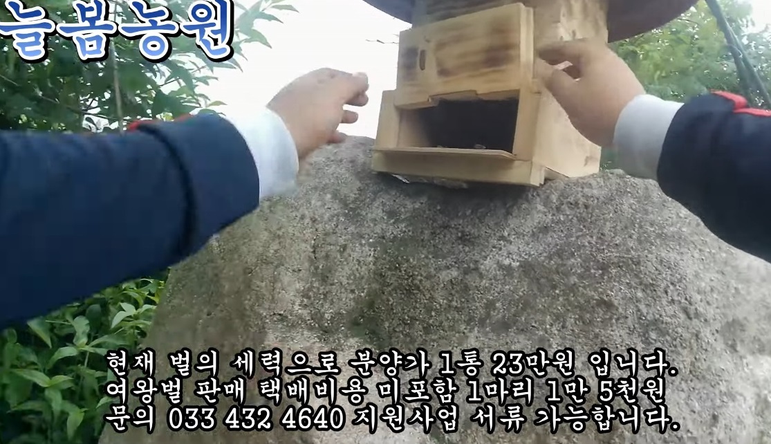 홍천-꿀의진수-토종꿀