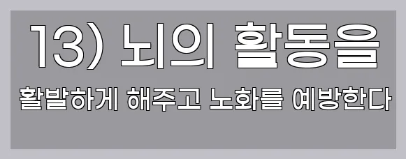  13) 뇌의 활동을 활발하게 해주고 노화를 예방한다