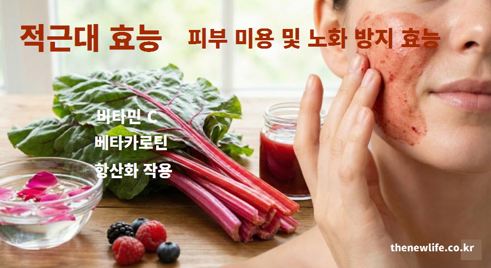 적근대의 풍부한 비타민C와 베타카로틴 성분이 피부 미용과 노화 방지에 미치는 효능을 시각적으로 설명한 이미지