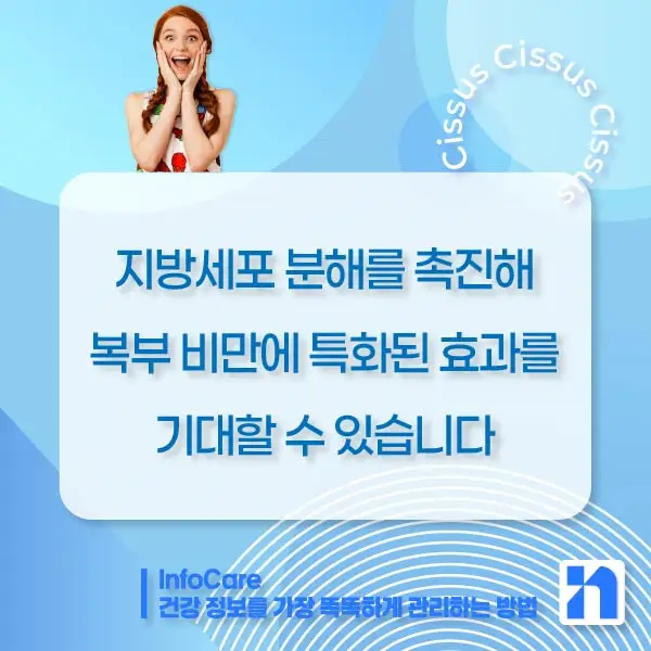 시서스 효능