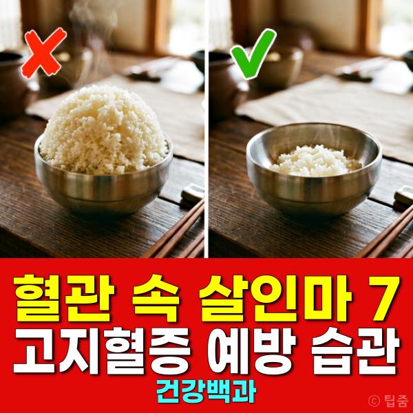 고지혈증 예방 전단계 치료
