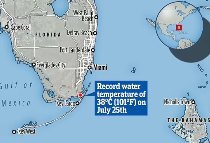 플로리다 수온 최고기록