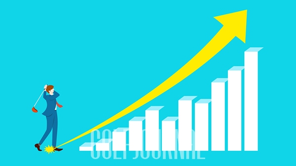 파크골프의 여러가지 빅데이터들 (2024년의 파크골프 성장)