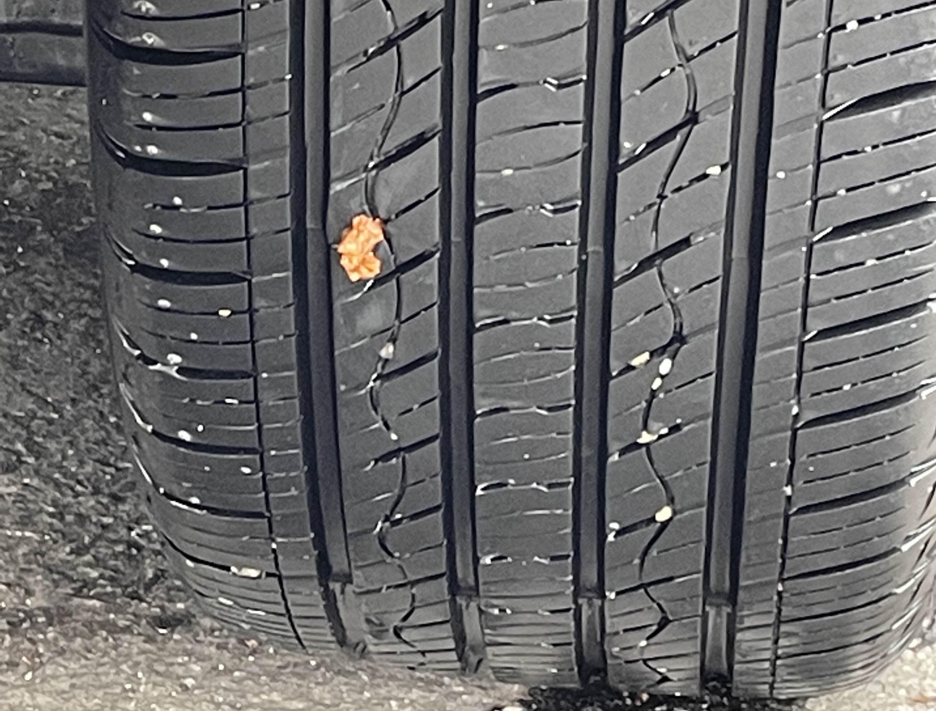 실펑크 지렁이 수리 비용 내구성