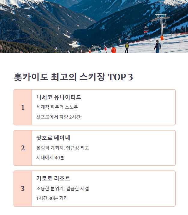 홋카이도 최고의 스키장 추천 – 파우더 스노우의 천국