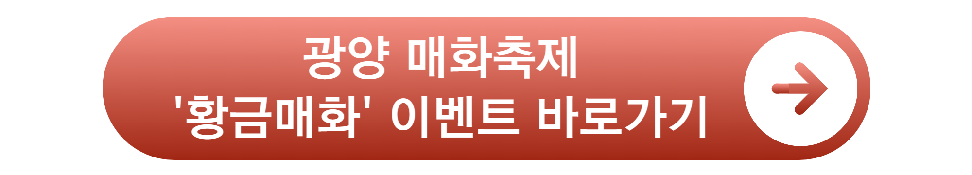 광양 매화축제