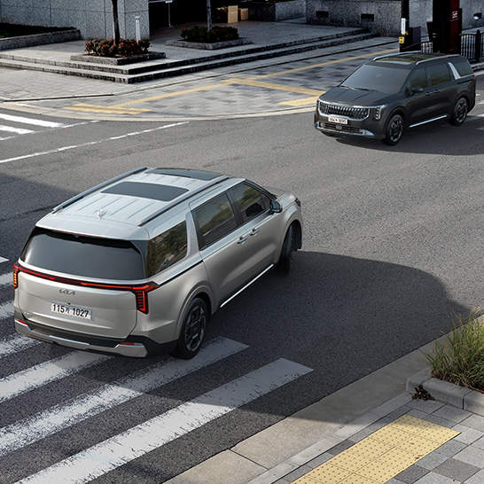 신형 카니발, The New Carnival