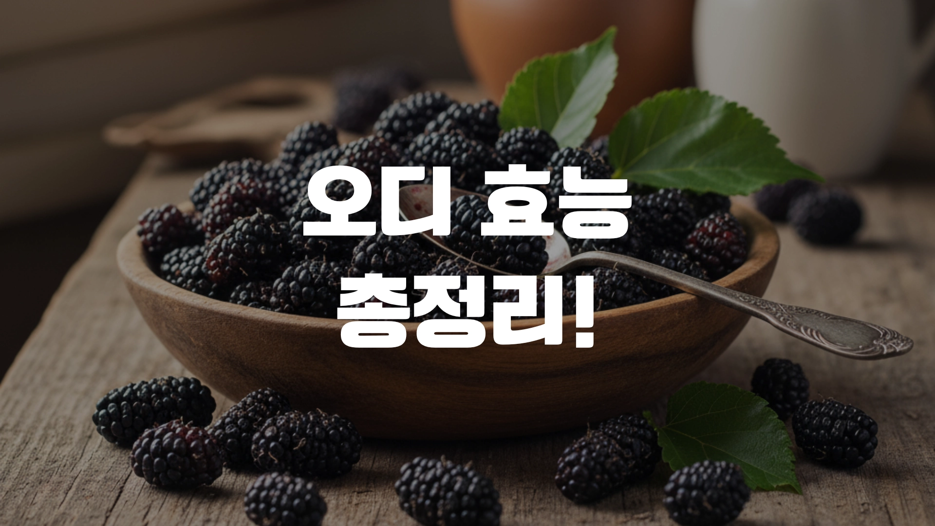 오디 효능 총정리! 포스팅 섬네일