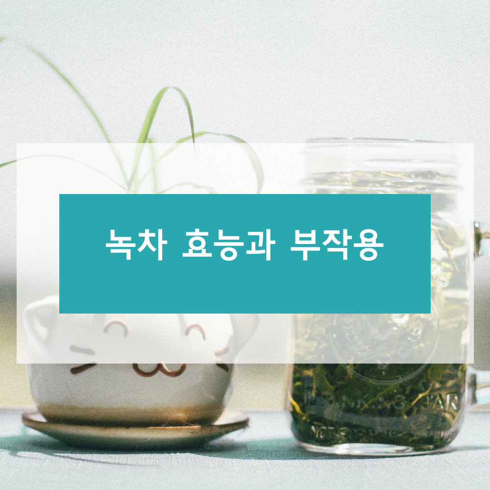 녹차에 대하여