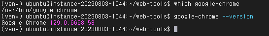 Chrome 설치 확인