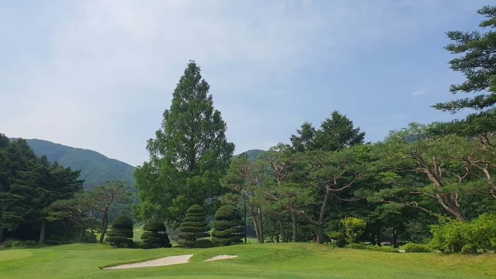 골프장 경험담 광주 더시에나서울cc 오랜 시간 수준 높은 명문의 자리를 지켜온 프레스티지 골프장