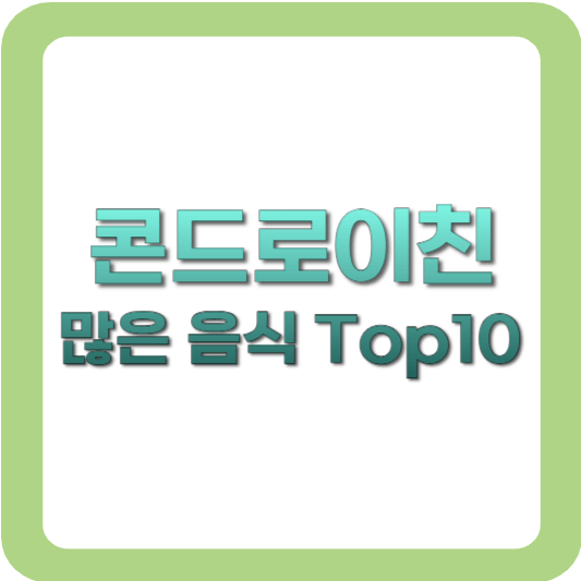 콘드로이친-많은음식