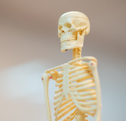 목 디스크 진단 기준 치료법 예방법