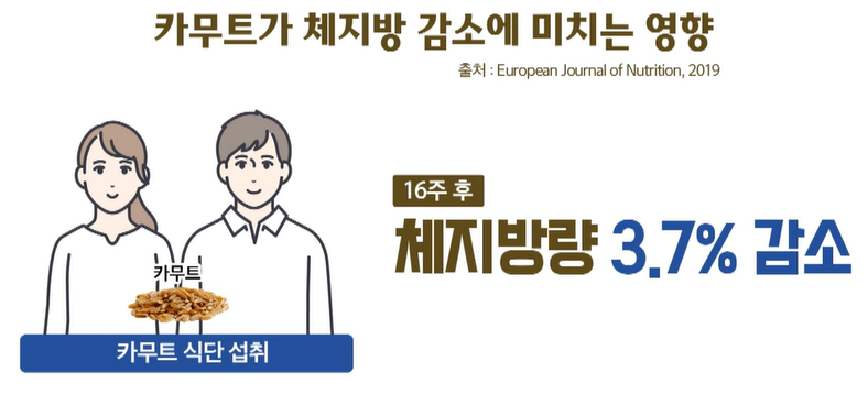 카무트 효능