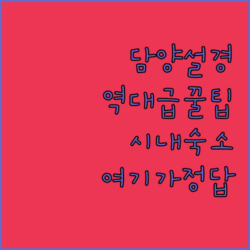 담양 설경 만끽하는 캠핑장 이용 꿀팁..