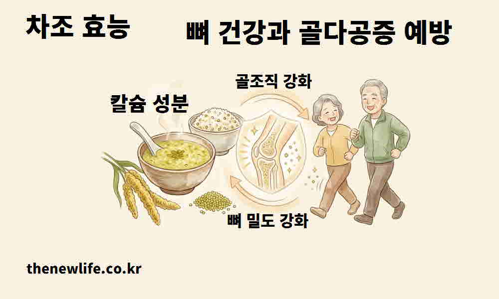 차조 효능 뼈 건강 골다공증 예방
