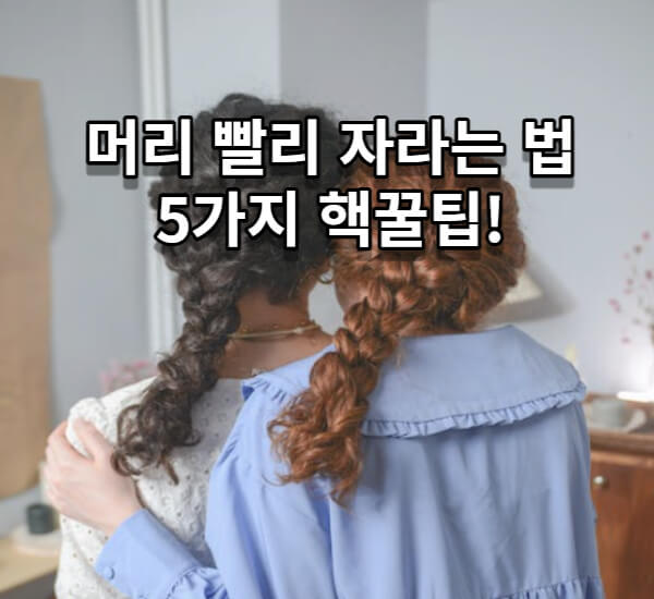 머리카락 빠르게 자라게 하는 방법