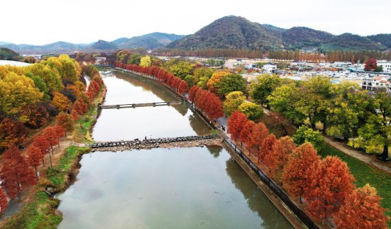 담양 관방제림