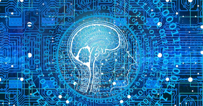 Z세대의 투자 성향 분석: 그들은 왜 전통 주식보다 디지털 자산을 선호할까?