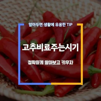 비료 주는 시기 기비 추비 요소 인산 가리 엽면시비_4