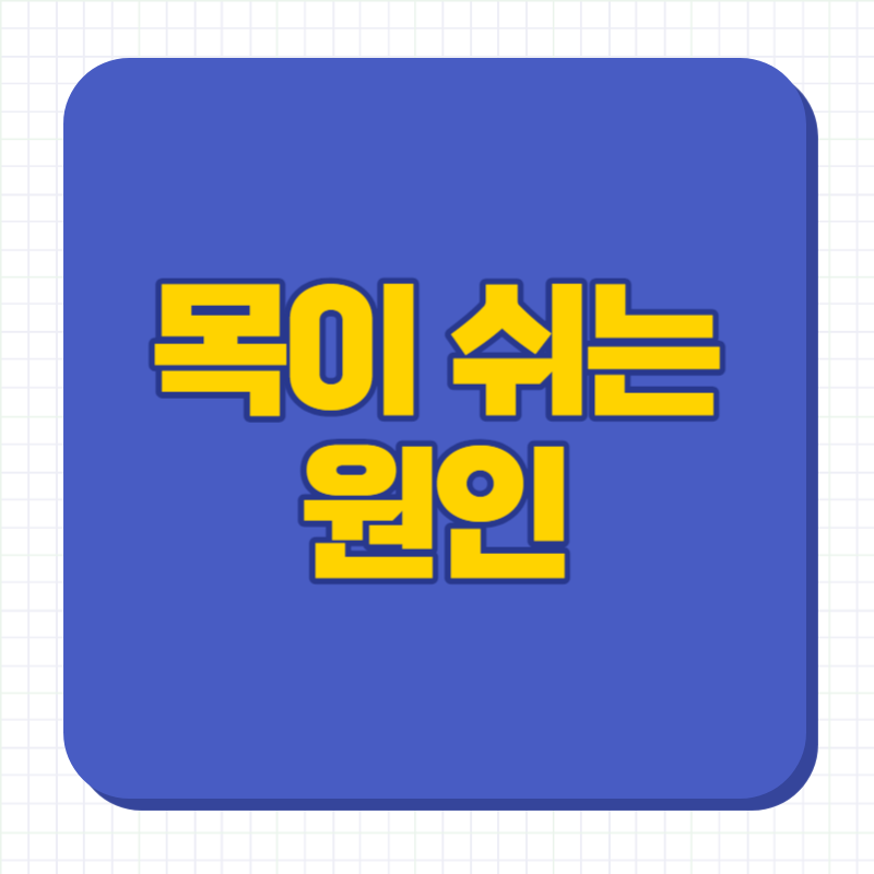 목이 쉬는 원인