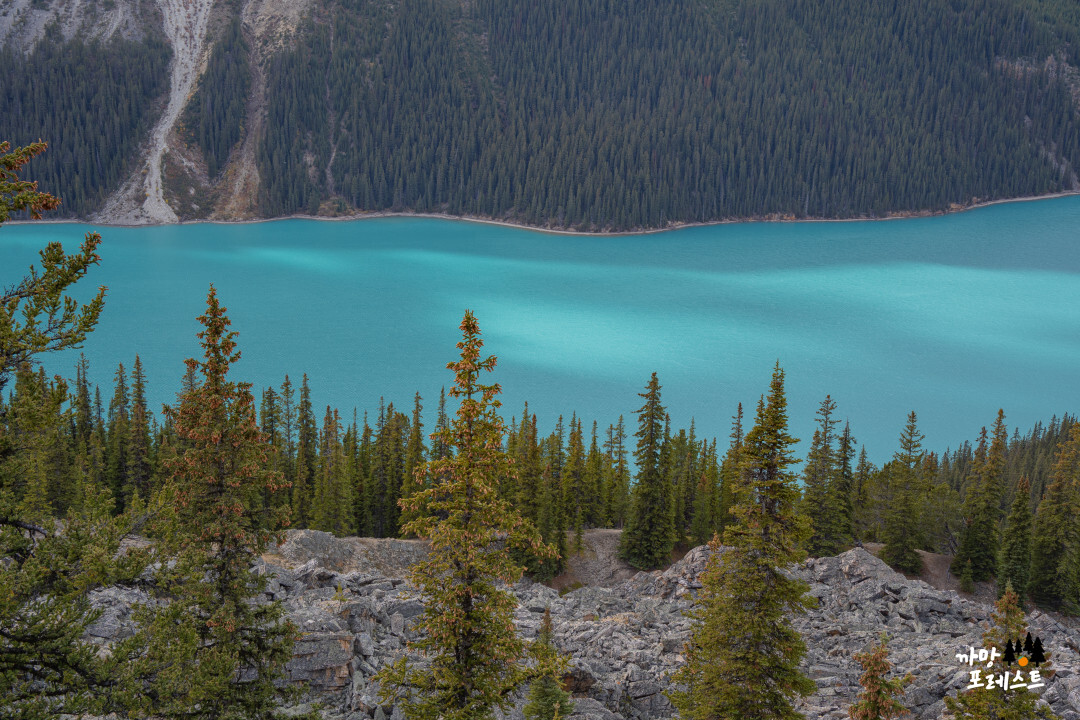 캐나다 페이토 레이크