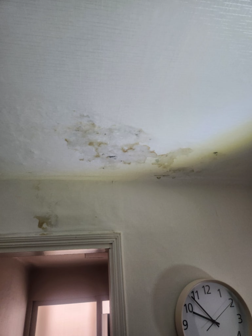 천장 도배 누수 확인