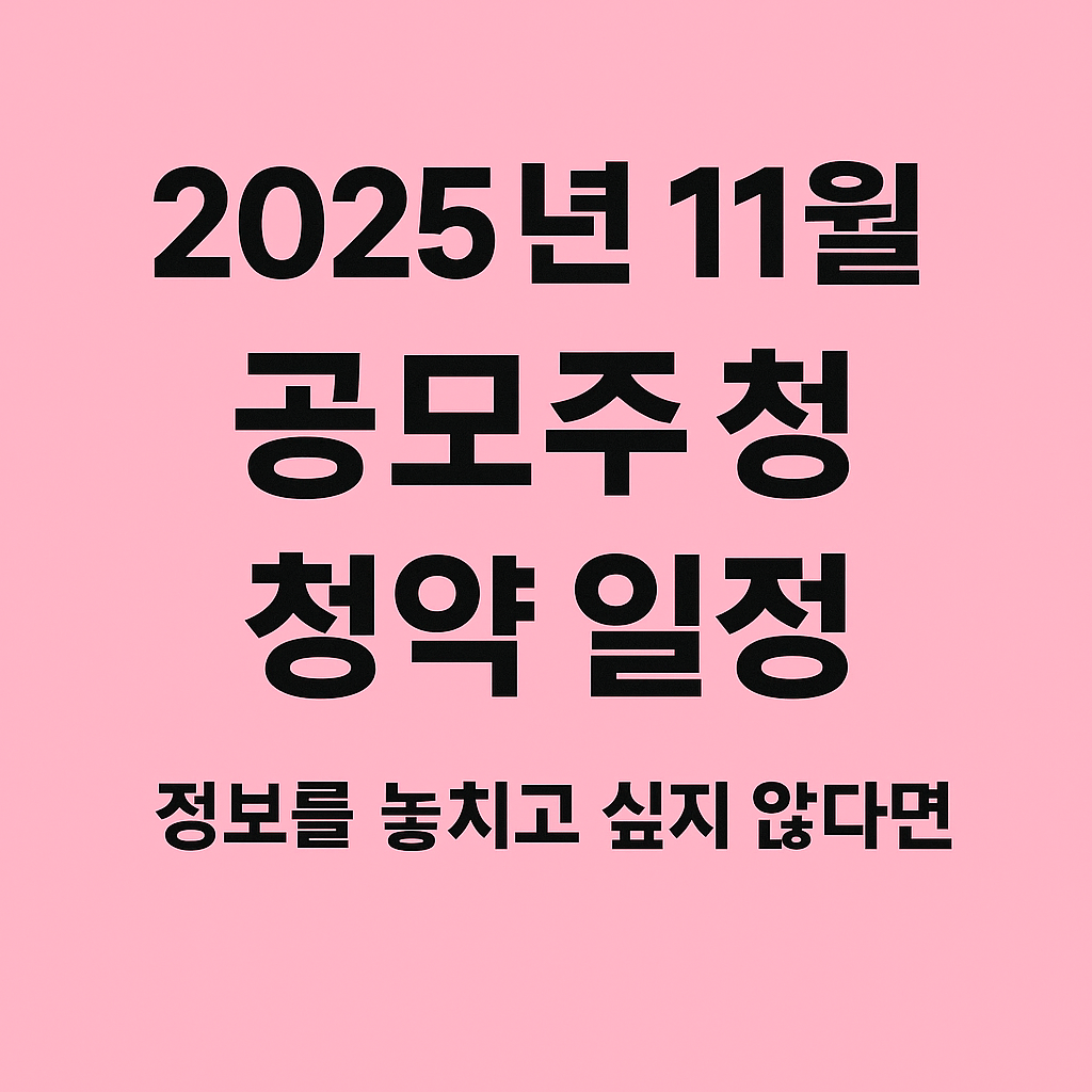 11월 공모주 청약 일정