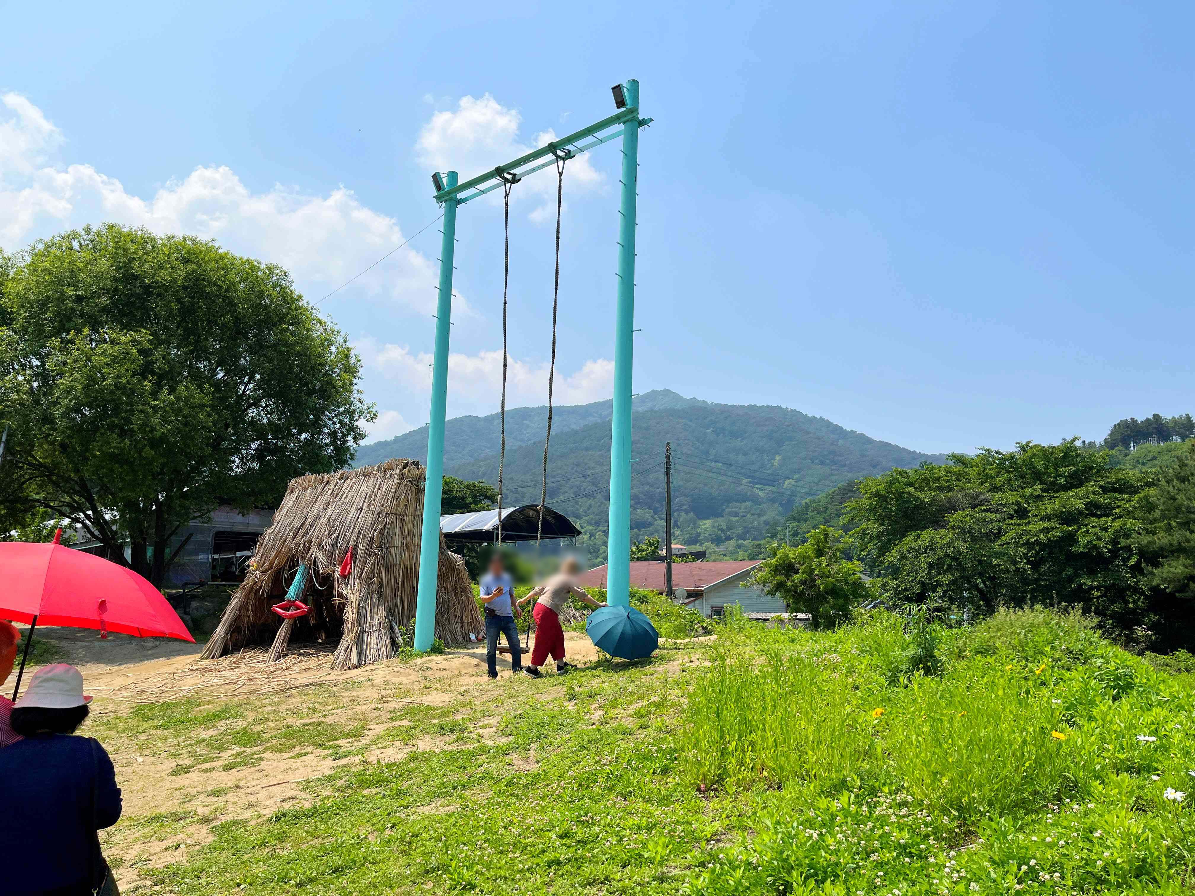 용수골 양귀비 축제