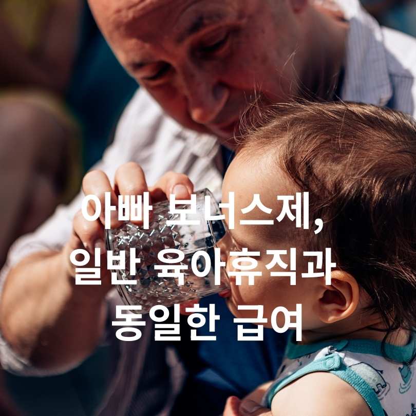 아빠 보너스제, 일반 육아휴직과 동일한 급여