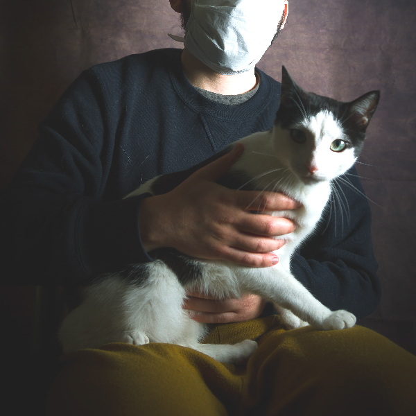 고양이 범백