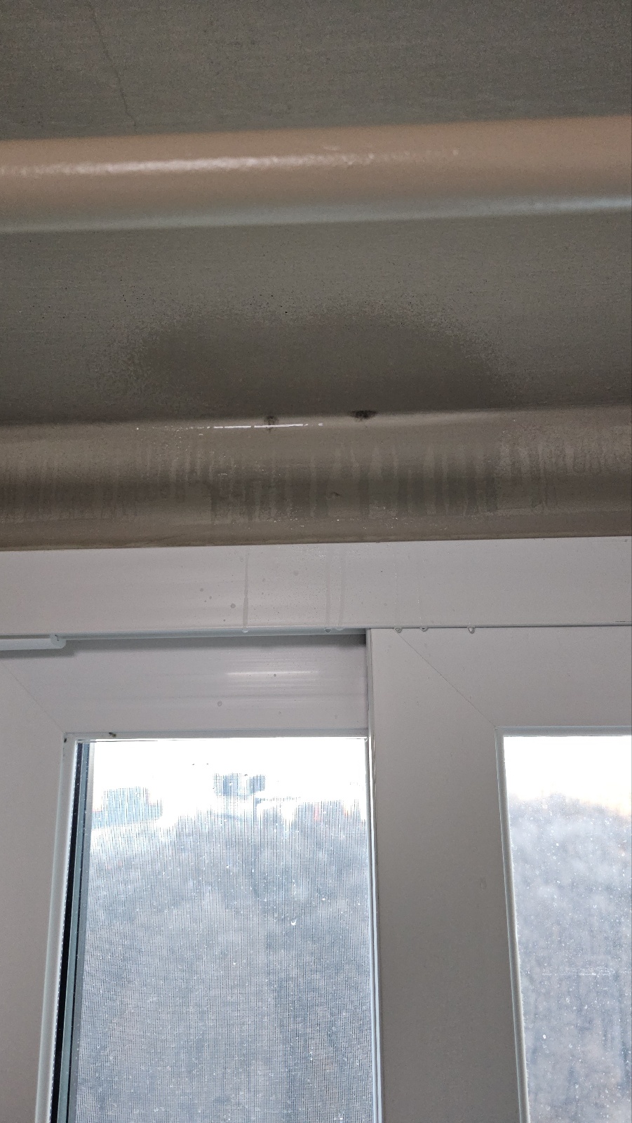 세탁실 곰팡이 제거｜닥터클린 곰팡이제거제/방지제 내돈내산 사용기