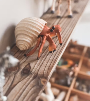 어린이집 창업에 대하여 알아보기