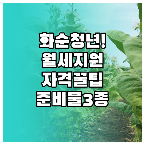 화순군 청년월세 지원 자격 및 준비물..