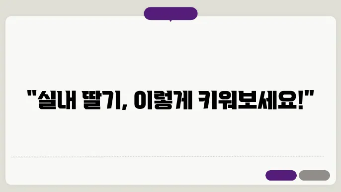 실내에서 딸기 키우기 초보자도 성공하는 비법