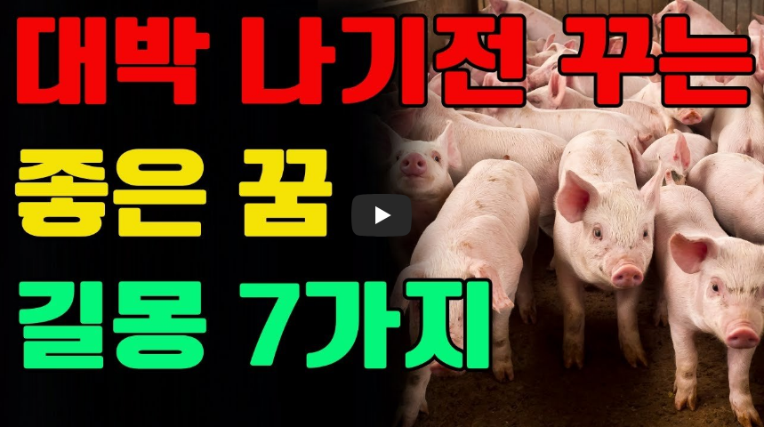 대박 나기 전 꾸는 좋은 꿈 영상