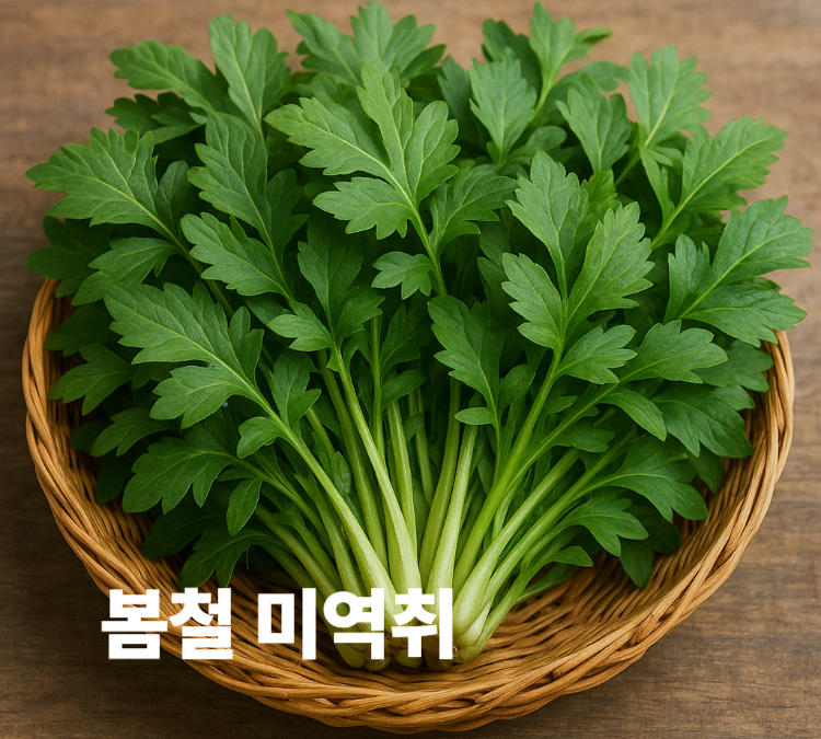 빈혈예방 혈압조절 변비예방 장건강유지 봄철 미역취 효능 영양성분