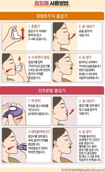 릅입제 사용방법