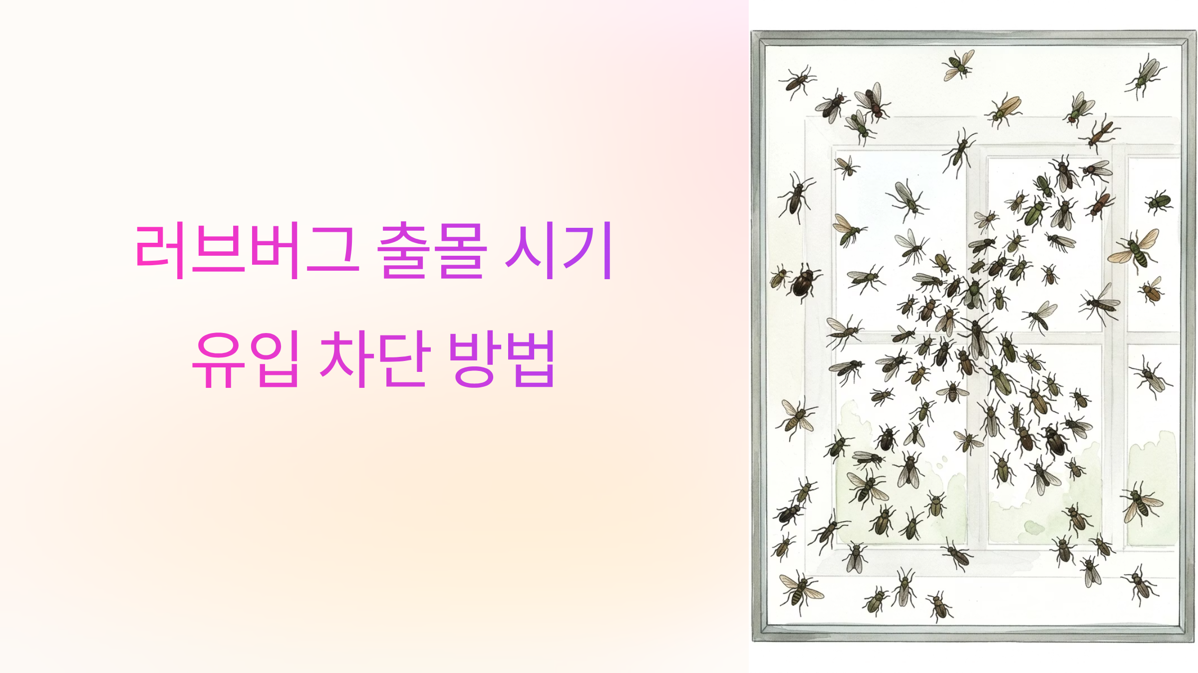 러브 버그 출몰시기와 집 유입 차단하는 방법