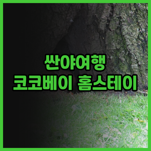 싼야 여행, 코코베이 홈스테이에서 인